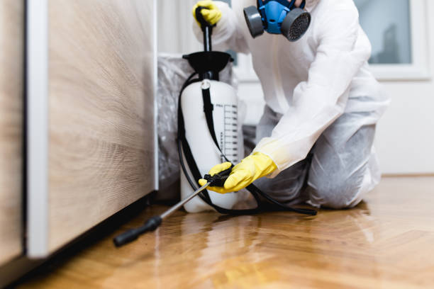 Best Pest Control for Businesses  in Dallas, GA