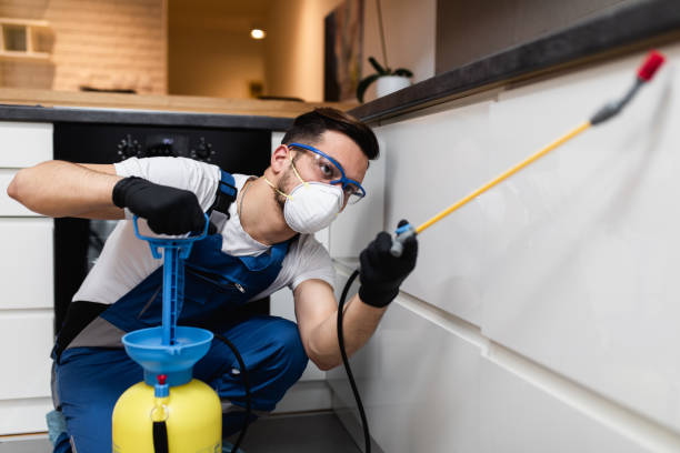 Best Affordable Pest Control Services  in Dallas, GA