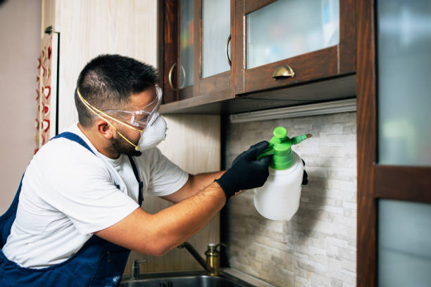 Reliable Dallas, GA Pest Control Solutions