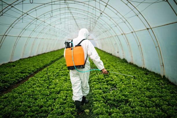 Best Local Pest Control Services  in Dallas, GA