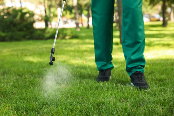 Best Affordable Pest Control Services  in Dallas, GA