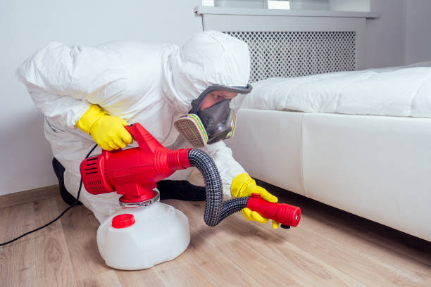 Best Pest Removal Services  in Dallas, GA