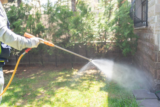 Best Pest Prevention Services  in Dallas, GA