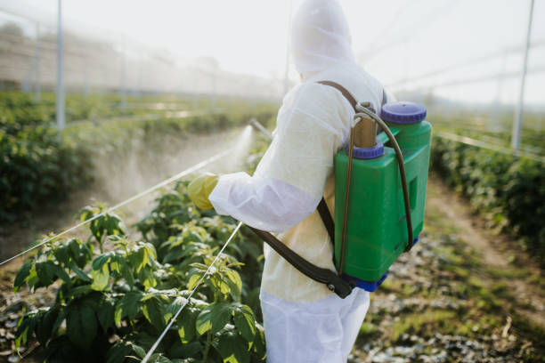 Best Best Pest Control Companies  in Dallas, GA